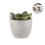 artificial succulent plant
