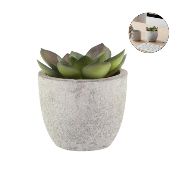 artificial succulent plant