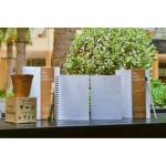 seed paper notebook A5
