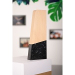 recycled award trophy