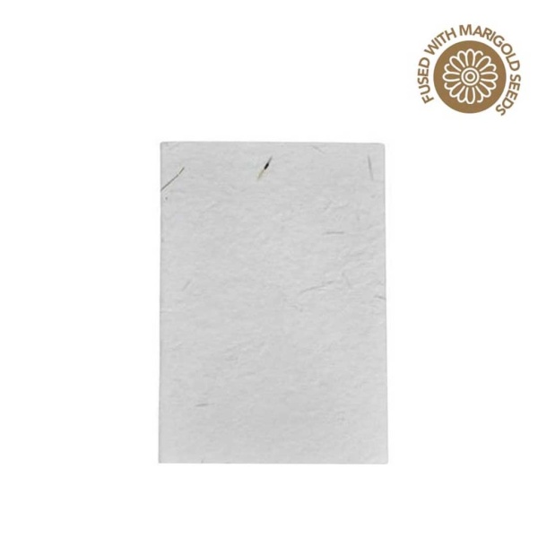 seed paper notebook B6