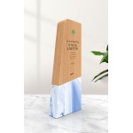 recycled award trophy